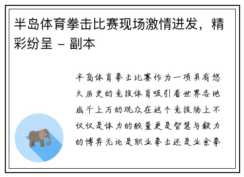 半岛体育拳击比赛现场激情迸发，精彩纷呈 - 副本